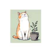 ヒメ日記 2025/10/17 17:35 投稿 ひとみ VIVIDCREWマダムセカンドバージン 梅田店