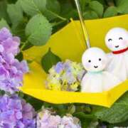 ヒメ日記 2025/06/24 09:06 投稿 もも VIVIDCREWマダムセカンドバージン 梅田店