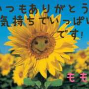 ヒメ日記 2025/06/28 10:29 投稿 もも VIVIDCREWマダムセカンドバージン 梅田店