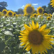 ヒメ日記 2025/07/28 09:58 投稿 もも VIVIDCREWマダムセカンドバージン 梅田店