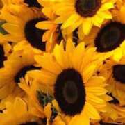 ヒメ日記 2025/08/31 10:53 投稿 もも VIVIDCREWマダムセカンドバージン 梅田店