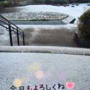 ヒメ日記 2026/02/09 10:54 投稿 もも VIVIDCREWマダムセカンドバージン 梅田店