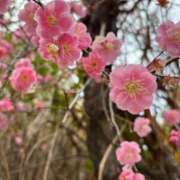 ヒメ日記 2024/02/16 15:56 投稿 水希(みずき) ビッグバード