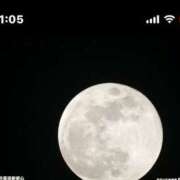 ヒメ日記 2025/03/14 21:24 投稿 水希(みずき) ビッグバード