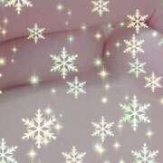 ヒメ日記 2025/03/19 17:35 投稿 水希(みずき) ビッグバード