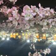 ヒメ日記 2025/04/05 09:38 投稿 水希(みずき) ビッグバード