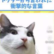 ヒメ日記 2025/05/13 14:17 投稿 水希(みずき) ビッグバード