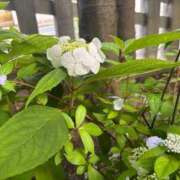 ヒメ日記 2025/05/16 07:24 投稿 水希(みずき) ビッグバード