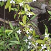 ヒメ日記 2025/05/26 21:44 投稿 水希(みずき) ビッグバード