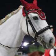 ヒメ日記 2025/10/10 09:24 投稿 水希(みずき) ビッグバード