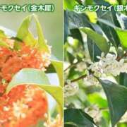 ヒメ日記 2025/10/26 10:24 投稿 水希(みずき) ビッグバード