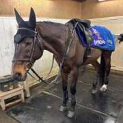 ヒメ日記 2025/10/26 12:07 投稿 水希(みずき) ビッグバード