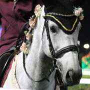 ヒメ日記 2025/11/16 23:44 投稿 水希(みずき) ビッグバード