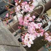 ヒメ日記 2026/03/19 12:04 投稿 水希(みずき) ビッグバード