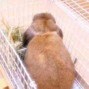 ヒメ日記 2026/09/14 20:04 投稿 水希(みずき) ビッグバード