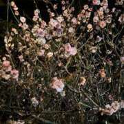 ヒメ日記 2025/03/08 16:02 投稿 姫乃　えりな OLアフター5