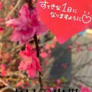 ヒメ日記 2025/04/03 14:02 投稿 姫乃　えりな OLアフター5