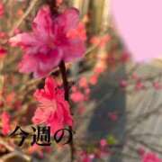 ヒメ日記 2025/04/10 09:15 投稿 姫乃　えりな OLアフター5