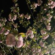 ヒメ日記 2025/04/17 09:01 投稿 姫乃　えりな OLアフター5