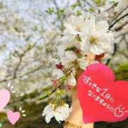 ヒメ日記 2026/04/05 09:02 投稿 姫乃　えりな OLアフター5