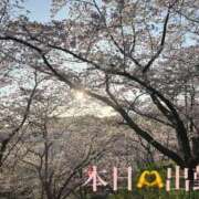 ヒメ日記 2026/04/06 16:15 投稿 姫乃　えりな OLアフター5