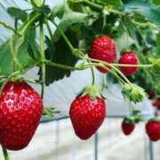 望月　美玲 出勤するよ♥️ OLアフター5