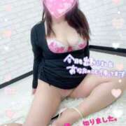 ヒメ日記 2025/04/16 16:31 投稿 ちあき 即アポマダム～名古屋店～