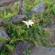 ヒメ日記 2025/08/08 05:59 投稿 はな 多治見・土岐・春日井ちゃんこ