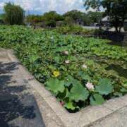 ヒメ日記 2025/08/12 19:29 投稿 はな 多治見・土岐・春日井ちゃんこ