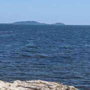 ヒメ日記 2025/08/14 06:29 投稿 はな 多治見・土岐・春日井ちゃんこ