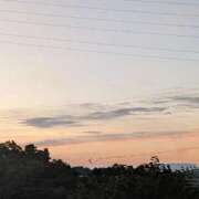 ヒメ日記 2025/08/18 05:59 投稿 はな 多治見・土岐・春日井ちゃんこ