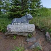 ヒメ日記 2025/08/19 06:49 投稿 はな 多治見・土岐・春日井ちゃんこ