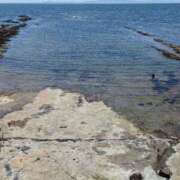 ヒメ日記 2025/08/22 06:29 投稿 はな 多治見・土岐・春日井ちゃんこ