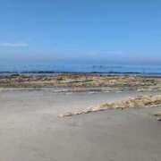 ヒメ日記 2025/08/22 18:49 投稿 はな 多治見・土岐・春日井ちゃんこ