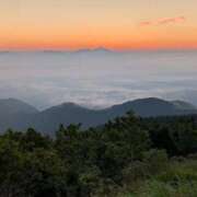 ヒメ日記 2025/08/26 06:29 投稿 はな 多治見・土岐・春日井ちゃんこ