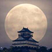 ヒメ日記 2025/08/30 19:09 投稿 はな 多治見・土岐・春日井ちゃんこ