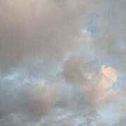 ヒメ日記 2025/09/02 06:17 投稿 はな 多治見・土岐・春日井ちゃんこ