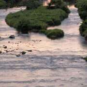 ヒメ日記 2025/09/02 18:39 投稿 はな 多治見・土岐・春日井ちゃんこ