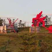 ヒメ日記 2025/09/03 06:33 投稿 はな 多治見・土岐・春日井ちゃんこ