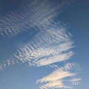 ヒメ日記 2025/09/16 06:37 投稿 はな 多治見・土岐・春日井ちゃんこ