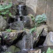 ヒメ日記 2025/09/24 09:19 投稿 はな 多治見・土岐・春日井ちゃんこ