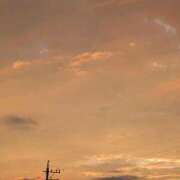 ヒメ日記 2025/09/25 19:15 投稿 はな 多治見・土岐・春日井ちゃんこ