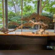 ヒメ日記 2025/09/26 07:32 投稿 はな 多治見・土岐・春日井ちゃんこ