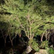 ヒメ日記 2025/09/28 21:49 投稿 はな 多治見・土岐・春日井ちゃんこ