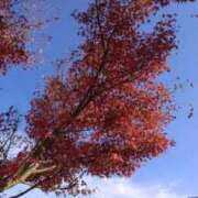 ヒメ日記 2025/09/29 06:29 投稿 はな 多治見・土岐・春日井ちゃんこ