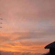 ヒメ日記 2025/10/02 06:09 投稿 はな 多治見・土岐・春日井ちゃんこ