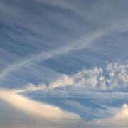 ヒメ日記 2025/10/02 19:59 投稿 はな 多治見・土岐・春日井ちゃんこ