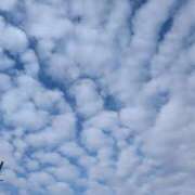 ヒメ日記 2025/10/04 07:19 投稿 はな 多治見・土岐・春日井ちゃんこ