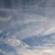 ヒメ日記 2025/10/06 06:29 投稿 はな 多治見・土岐・春日井ちゃんこ