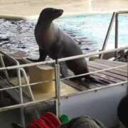 ヒメ日記 2025/10/10 20:19 投稿 はな 多治見・土岐・春日井ちゃんこ